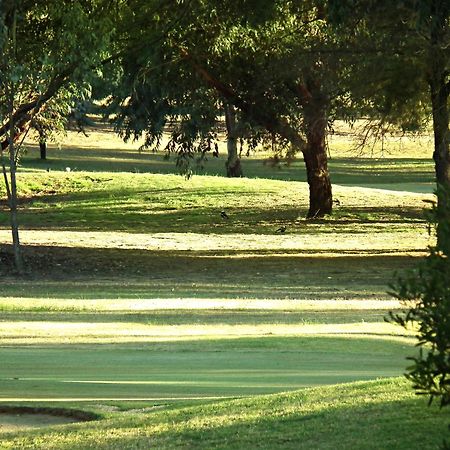 Cobram Barooga Golf Resort Номер фото